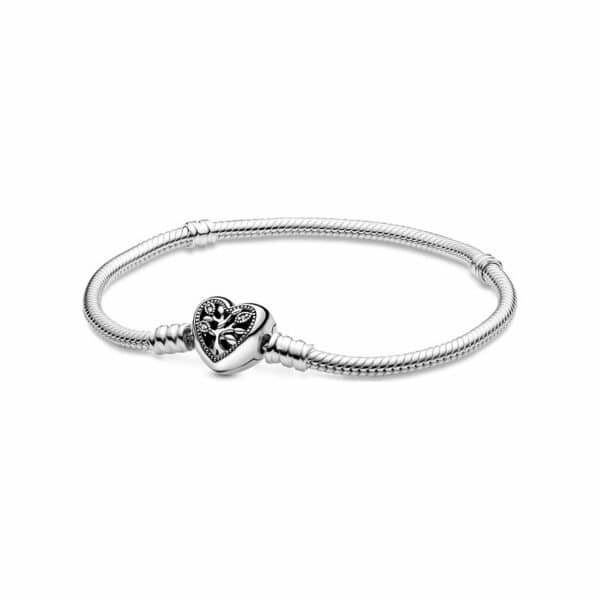 Pandora Armband Moments 598827C01-18