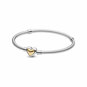 Pandora Armband Moments 599380C00-19