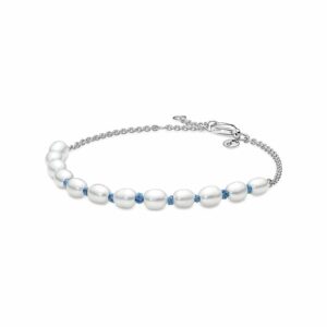 Pandora Armband Moments 591689C01-16