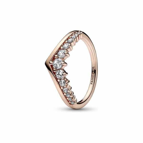 Pandora Damenring Timeless 182320C01-54