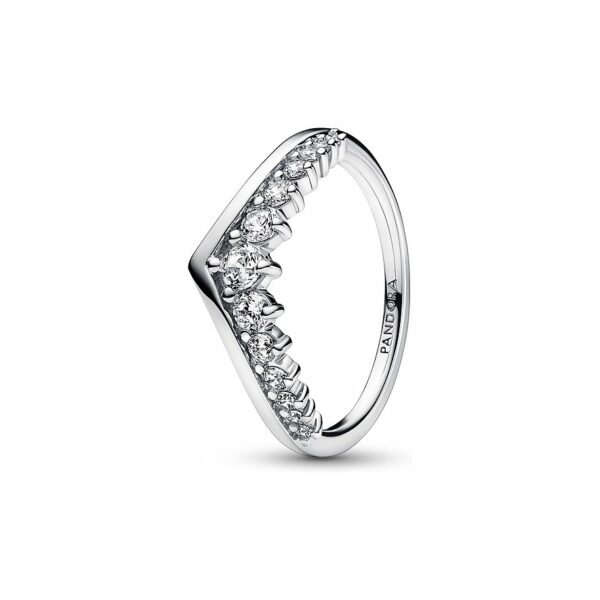 Pandora Damenring Timeless 192320C01-60