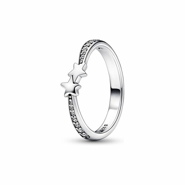 Pandora Damenring Moments 192365C01-56