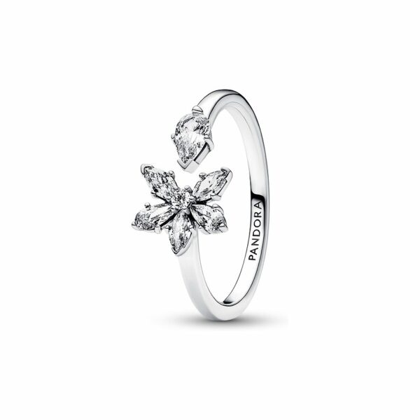 Pandora Damenring Timeless 192611C01-50