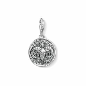 Thomas Sabo Charm 1640-643-21