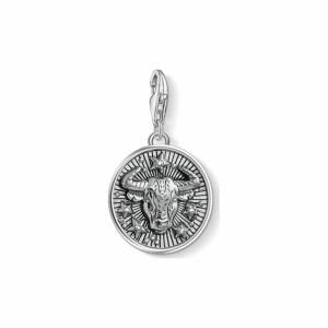 Thomas Sabo Charm 1641-643-21