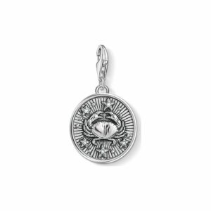 Thomas Sabo Charm 1643-643-21