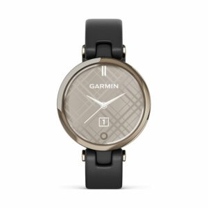 Garmin Smartwatch Lily 010-02384-B1