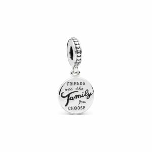 Pandora Charm Moments Friends Are Family 798124EN16