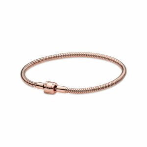 Pandora Armband Moments 588781C00-17