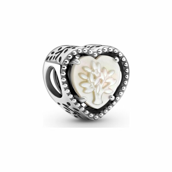 Pandora Charm Moments 799413C01