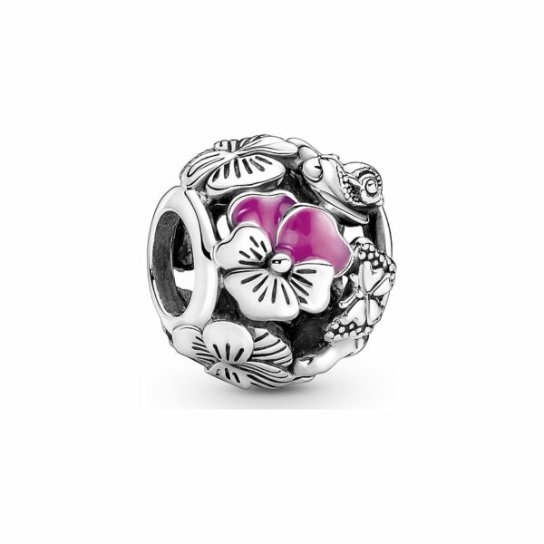 Pandora Charm Moments 790759C01