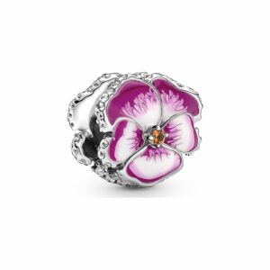 Pandora Charm Moments 790777C01