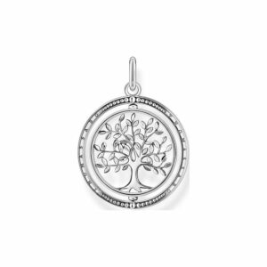 Thomas Sabo Anhänger Sterling Silver PE934-637-21