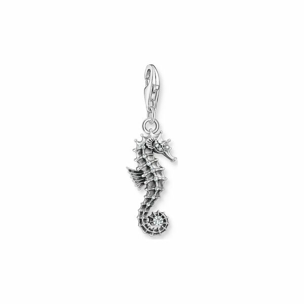 Thomas Sabo Charm Sterling Silver 1886-643-14