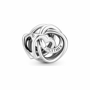 Pandora Charm Moments 791507C00