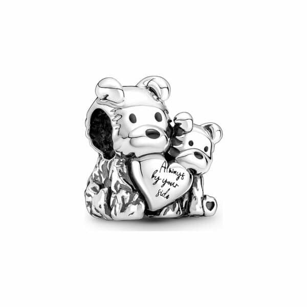 Pandora Charm Moments 790791C01