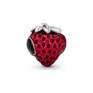 Pandora Charm Moments 791681C01