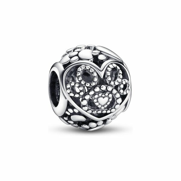 Pandora Charm Moments 792248C00