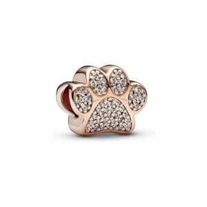 Pandora Charm Moments 781714C01