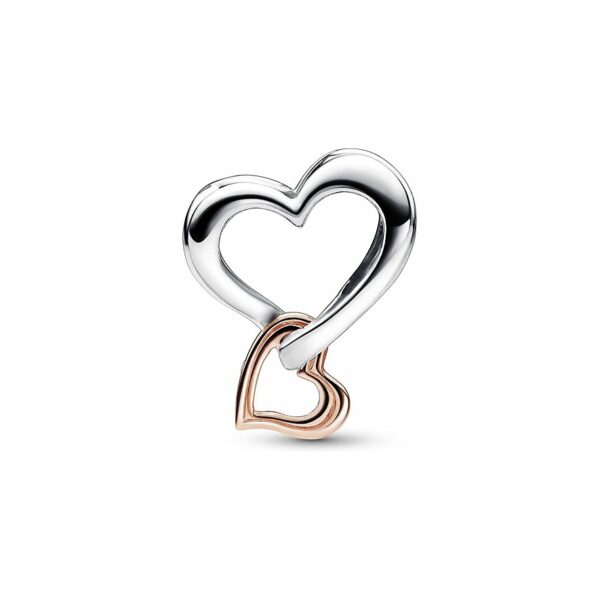 Pandora Charm Moments 782642C00