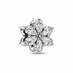 Pandora Charm Timeless 792623C01