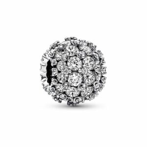 Pandora Charm Timeless 792630C01